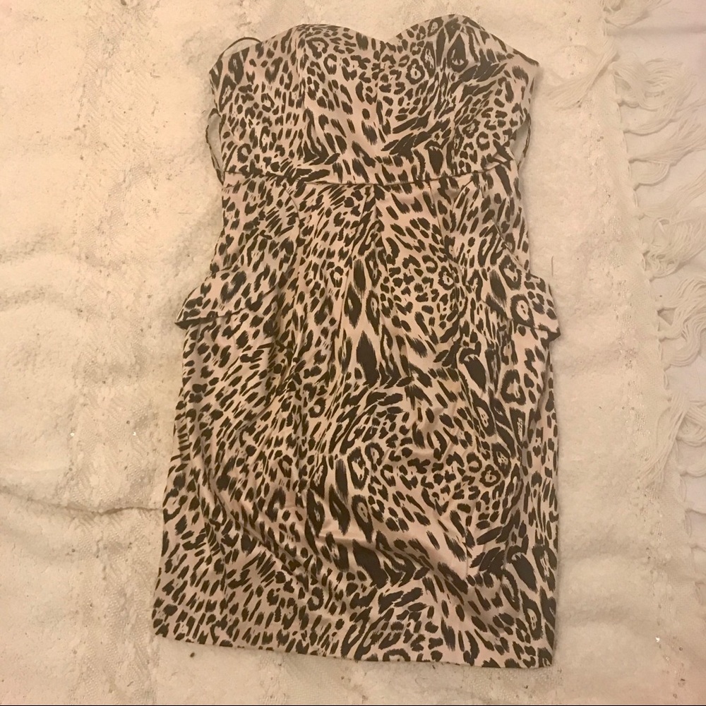 Women’s- Animal Print Mini Dress